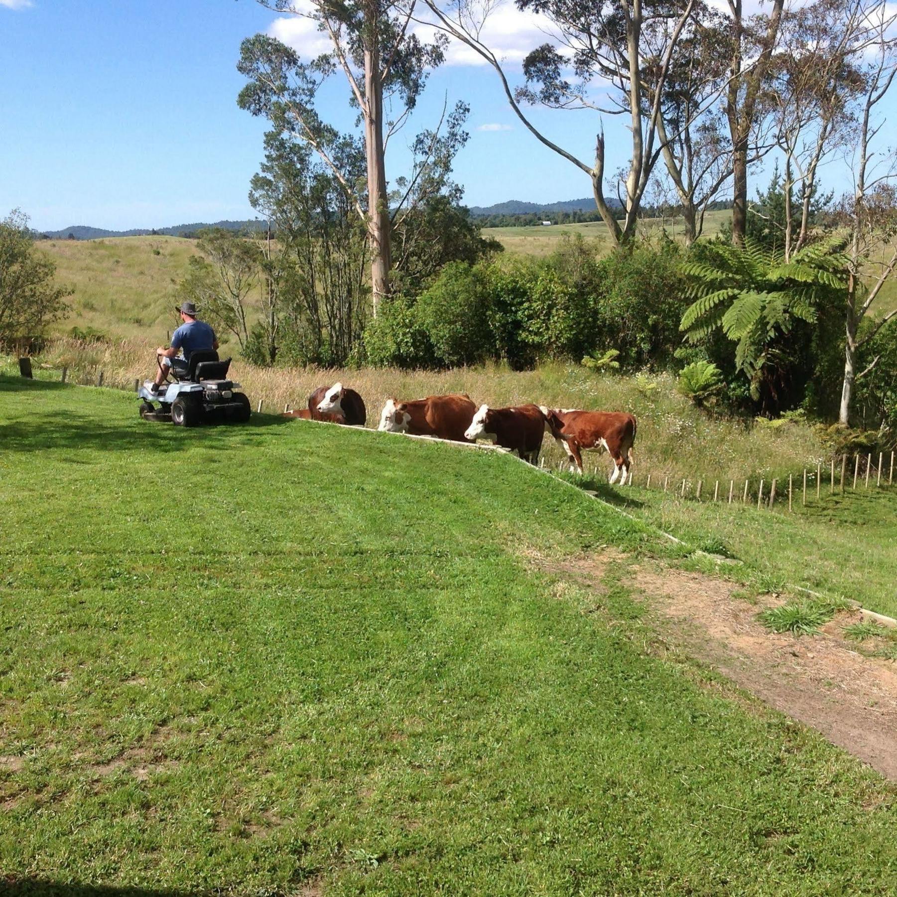 Rolling Hills Country Stay B&B Tauranga Eksteriør bilde