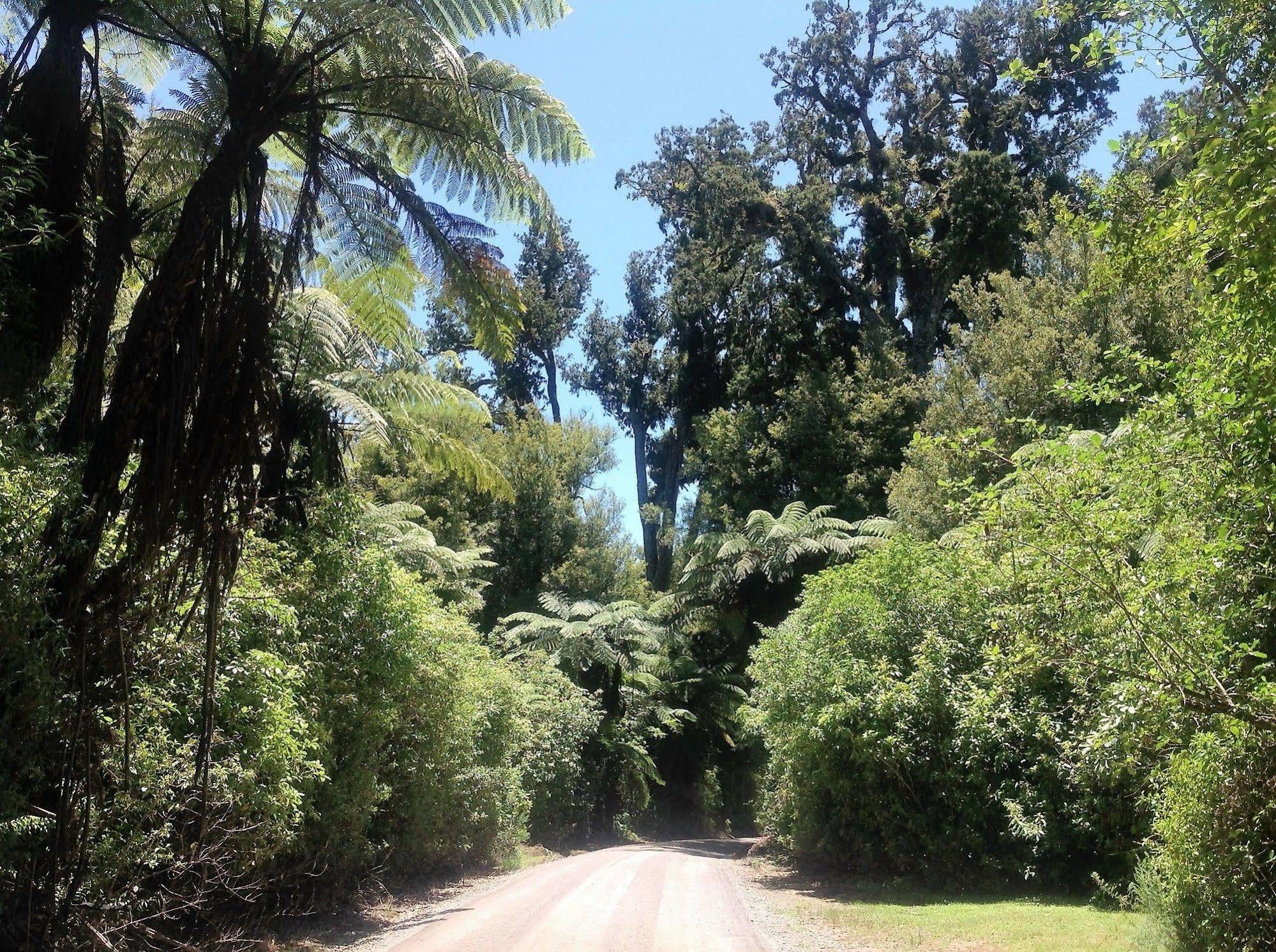 Rolling Hills Country Stay B&B Tauranga Eksteriør bilde